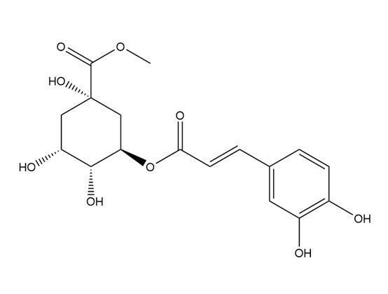 3-咖啡?？鼘幩峒柞?>
                    </div>
                    <div   id=