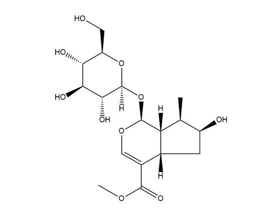 馬錢苷