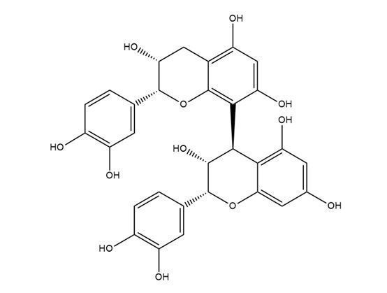 原花青素B2