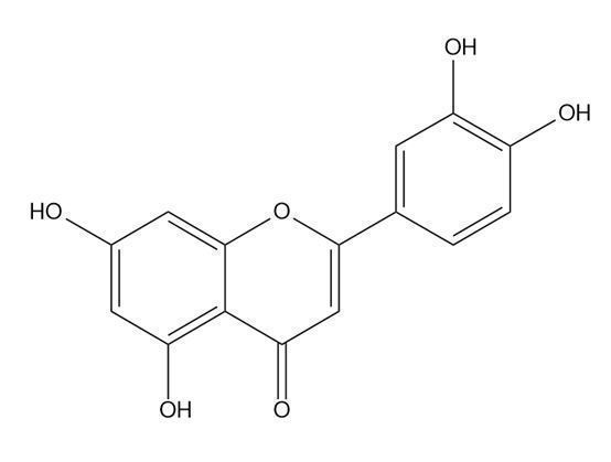 木犀草素