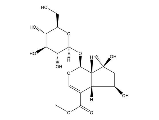 山梔苷甲酯
